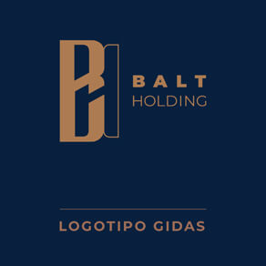 BALTHOLDING Brandbook