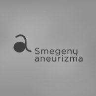 VšĮ “Smegenų aneurizmos fondas” VšĮ “Smegenų aneurizmos fondas”